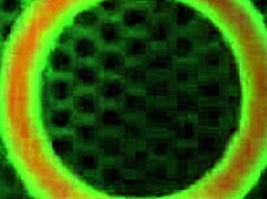 Angelina Castro's Cuban Pussy Squirts Unstoppably