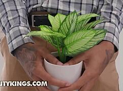 Babi Star says, Lure my man for anal while fans watch this kinky scene?