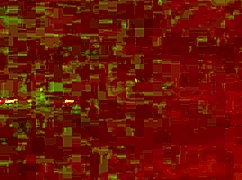 Valentina Lombardi巨白肥臀试镜保证硬