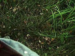 Real Amateur Couple Nails Outdoor ASS FUCK with Forest Creampie