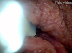 Endoscope Reveals Sensitive Penis Areas In Educational Video