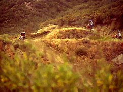 Lauren Phoenix Gets Fucked Hard by the Pond in Wild Action!