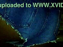 Hotpants And Shiny Pantyhose Detailed View.