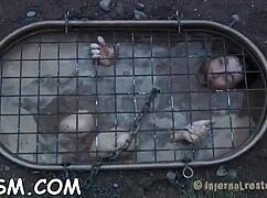 t beauty's adventure fucking her holes with toys.