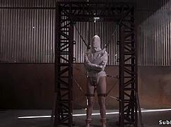 Sailor Luna Anal Fucked In Extreme Bondage