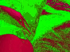 SweetMarta, the hot young girl, masturbates after school with fingering