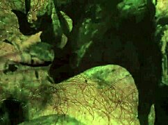 vintage taboo hairy pussy gets slammed doggystyle in retro bent over scene