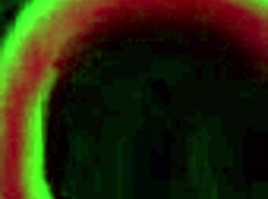 i crave rome major’s bbc, destiny’s dream come true