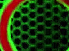 blonde beauty sara jay with big tits and pretty ass