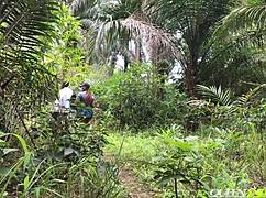 Local Doctor's Wild Adventure in the Bush