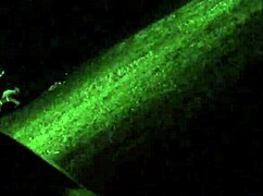 horny veronica leal tries double penetration with hot friend in anal fucking