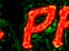 Jenna Presley Waitress Takes Constant Piss Breaks for Wild Fucking