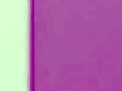 Summer Vixen in Rough Gangbang with Anal Assfucking