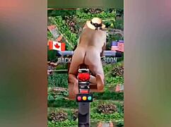 Zea812 Update 225 from July 08 2025