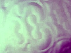 my wife flashes with ex and husband