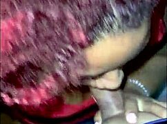 tiktok celebrity goes viral on the internet