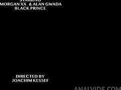 Alternate Existence 11 Game Adventure