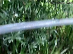 risky public handjobs blowjobs cumshots