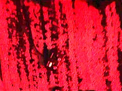 fucking sheena ryder in taboo roleplay, deepthroating and screaming in sex dungeon