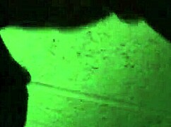 my neighbor's wife visits the basement for a chat