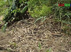 Holiday Groups Sex In The Forest