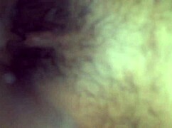 comendo anega do tras barras