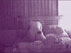 Amateur Couple Making Love Loudly