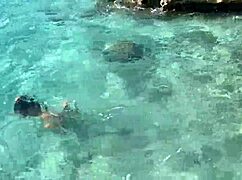 i see monika fox stop a tour bus to swim naked in the sea for free