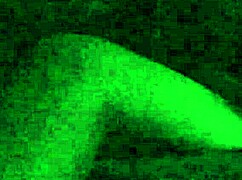 guy jerking his cock, moaning loud with big black monster