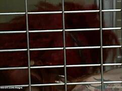 I fuck three butt-plugged slaves as their master