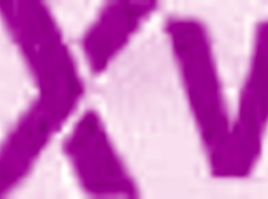 Angie Elif Feels Intense Casting Fuck