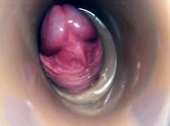 Internal View of Pussy Fuck Ending in Big Cumshot