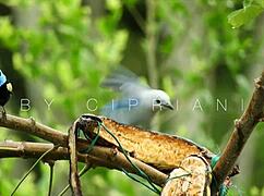 Rekonfiguration - Capitulo 3 - Aprender A Soltar