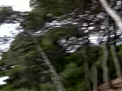 Next she gives him a blowjob and gets a facialfeaturing sophia gently guy 😏