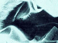 Vintage Erotic Art Featuring Antique Hairy Retro Explorations In Detailed Scenes