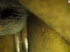 New indian step family gets hardcore when alone at home in hindi full movie