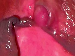 i explored my amateur pink pussy 275 days after losing my virginity, it was so wet and shaved