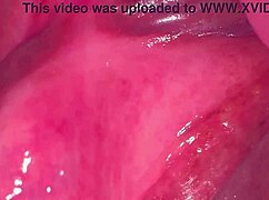 i explored my amateur pink pussy 275 days after losing my virginity, it was so wet and shaved