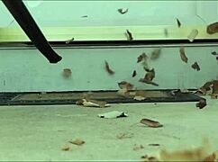 step sister kendra heart practices makes perfect part 1 with handjob