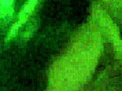 small dick bbw granny big tits blowjob