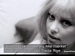 charlize theron stars in the life and death of peter sellers 2004