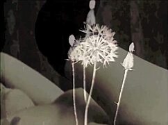 Vintage Interracial Pregnant Threesome in London Shadows