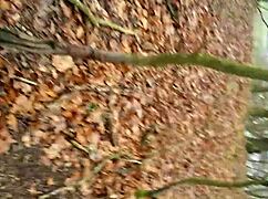 Forest Outdoor Exploration