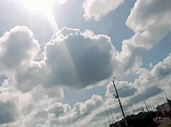 Madrastra Jovencita Cachonda Le Da Mamada De Verga A Su Hijastro En Un Autobús En Público Sexo Real Casero Amateur De Madrastra E Hijastro