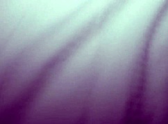 breeding amy quinn with big black cock in interracial amateur sex