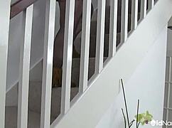 Lacey Starr delivers intense blowjob and hardcore action