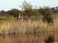 Beautiful Brunette MILF Masturbates on Wild Beach