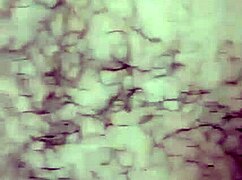 os pentelhos da minha buceta ficou gremoso depois de várias gozadas 😏