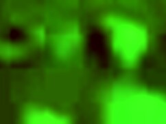 Wild life - chapter 1 - episode 10 - the island!