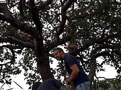 i fucked the blonde and brunette on a tree in the street